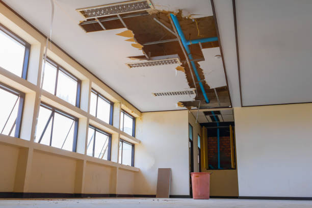 Best Local water damage restoration  in Flying Hills, PA