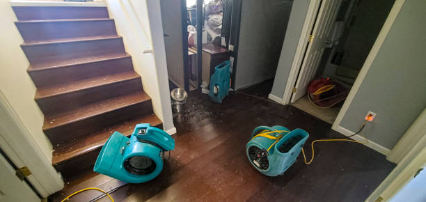 Best Water damage restoration near me  in Flying Hills, PA