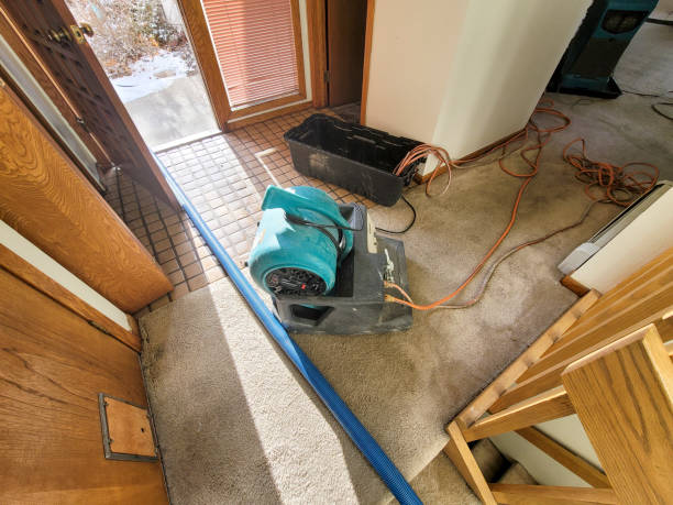 Best Commercial water damage restoration  in Flying Hills, PA