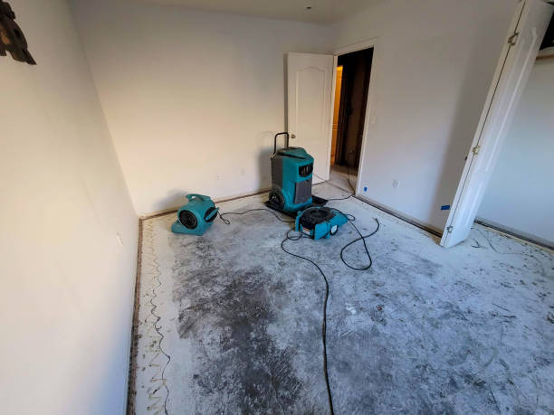 Best Carpet water damage restoration  in Flying Hills, PA