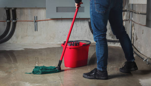 Best Fire Damage Restoration  in Flying Hills, PA