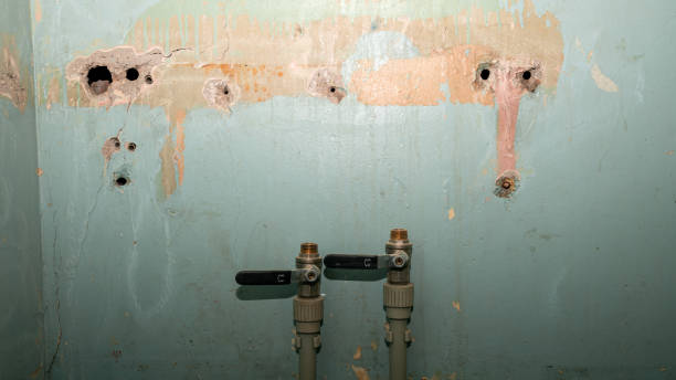 Best Flood restoration services  in Flying Hills, PA