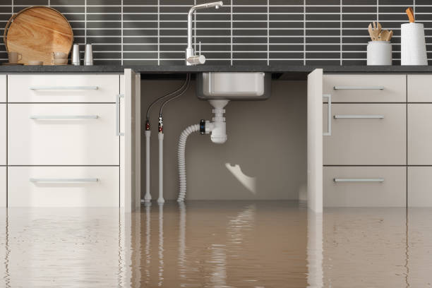 Best Ceiling water damage repair  in Flying Hills, PA